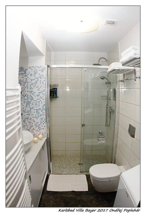 Apartman Vila Bayer Karlovy Vary Luaran gambar