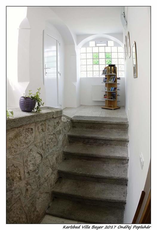 Apartman Vila Bayer Karlovy Vary Luaran gambar