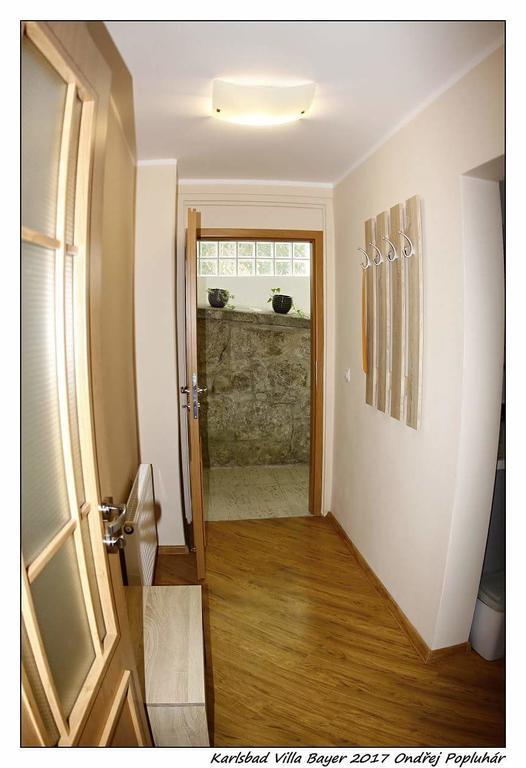 Apartman Vila Bayer Apartment Karlovy Vary Luaran gambar