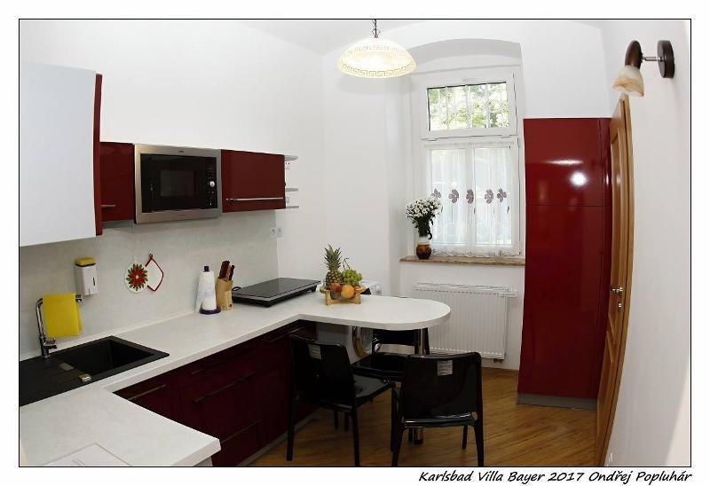 Apartman Vila Bayer Apartment Karlovy Vary Luaran gambar