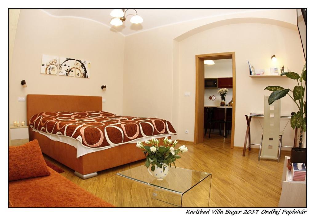 Apartman Vila Bayer Apartment Karlovy Vary Luaran gambar